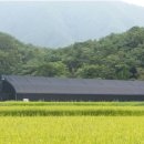 수인농장 이미지