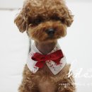 아로미네일 이미지