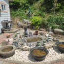 갈망개 민박 이미지