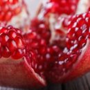 (주)바이오테크 이미지