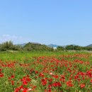 송포목장 이미지