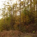 외씨버선길(영양연결구간) 이미지