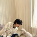 내야내야 똥강아지 이미지