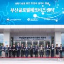 부산글로벌테크비즈센터 이미지