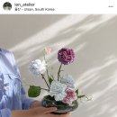 이온플라워 이미지