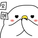 럭셔리코코노래연습장 이미지