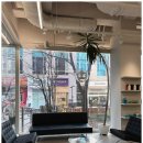 참좋은애견미용실 이미지