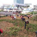 삼학동주민센터 이미지