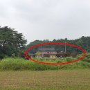 곡성-239 이미지