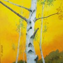 자작나무이야기 이미지