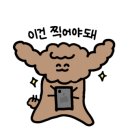 미소애견 미용실 이미지