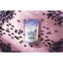 대학애견용품 이미지