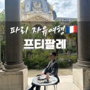 파리자유여행, 뛸르히정원 프티팔레, 프티팔레카페 총정리 (가격, 가는길, 운영시간, 후기)