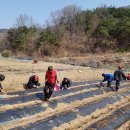 가산면사무소 이미지