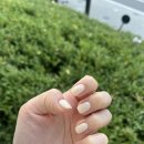 러뷰어네일