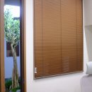 달구벌대로 이미지