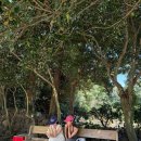 순이네식당 이미지