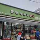 228 | [서산 여행 1부] 아이와 함께 떠난 "서산에서 보물찾기" 탐험기!