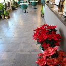 늘푸른정원 이미지