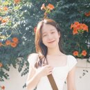 [SNOW AI] 스노우 ai 능소화 스냅, 능소화 셀피 사용 후기!