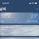 드더유 | 제주로 떠난 뽀모네
