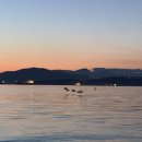 올레치킨 이미지