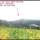 공주시탄천면대학보건진료소 | 공주시 탄천면 대학리 산46-6 토지(임야)경매