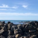 애월감성 이미지