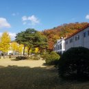 일등자동차주