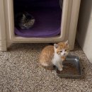 땅끝두륜산펜션민박 이미지