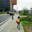 샘재유치원 이미지