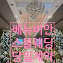 비안빈 | 베뉴비안 당일계약 후기(견적 공유ㅇ)