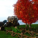 삼시네끼 이미지