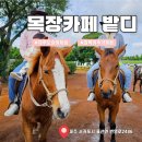 샘목장 | 제주도 서귀포시 아이와 함께 승마체험 목장카페 밭디 솔직 후기
