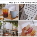 마리스플라워 이미지