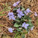 제2회 이웃사촌 가요제 이미지