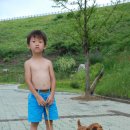 옥성자연휴양림 Daum카페