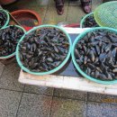 포항죽도어시장 이미지