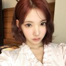 레드브라운 - 안양시 동안구 평촌대로 217 | 레드브라운