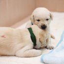 뜰에샘의원 이미지