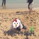 노랑통닭세종 이미지