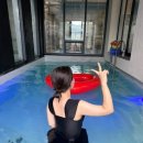 개별수영장이 있는 독채 풀빌라 &#39;풀스테이 조이풀빌라&#39; 1박 후기🏊‍♀️