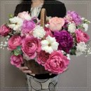 더케이샵 이미지