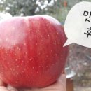 호야네농장 이미지