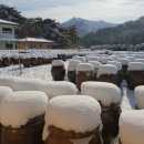 삼보식품(주) 네이버블로그