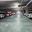 김부남 피티샵 이미지