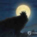 미호마트 이미지