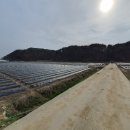 서면파출소 이미지