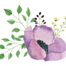 통영 물세탁 이미지