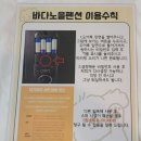 전남 여수 오션뷰 가성비 펜션 &#34;여수 바다노을펜션&#34; 후기 (스파, 애견동반 가능)
